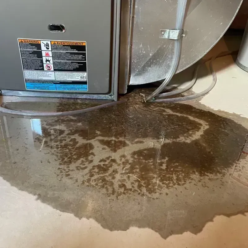 Appliance Leak Cleanup in Mansfield, MO